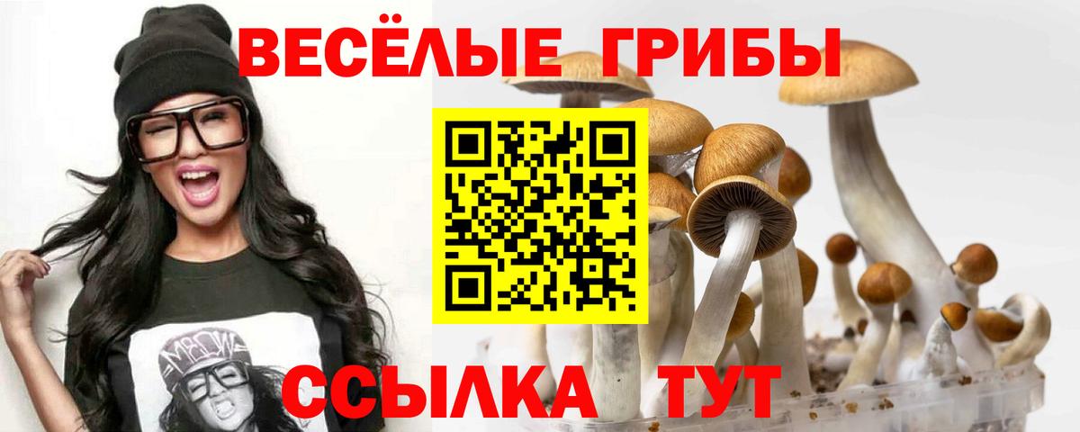 Псилоцибиновые грибы мухоморы  Псилоцибиновые грибы прущие грибы  Новоалександровск  Вход с VPN 